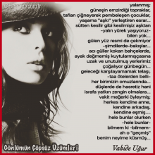 yalanm��...vahide u�ur 