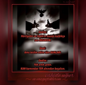 �iir Galeri / v.u�ur (2)