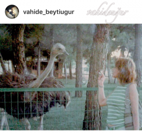 seviyoruz hayvanlar� 