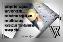 Bedia roman�ndan �iirler ~s�zler / vahideugur.com