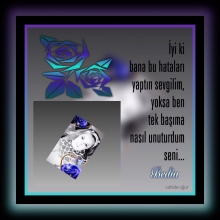 Tablolar�m / vahide u�ur