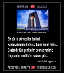 �anakkale 100. Y�l / ANKARA  vahide u�ur