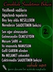 �anakkale Saadetimin Bek�isi