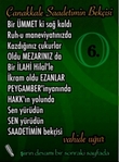 �anakkale Saadetimin Bek�isi