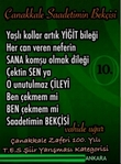 �anakkale Saadetimin Bek�isi