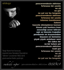 Vahide U�ur / penceremdesin oblivion 