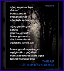 topraktaki akla bak / vahide u�ur 