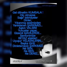 Vahide U�UR