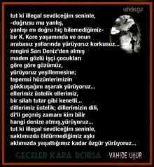 Vahide U�UR