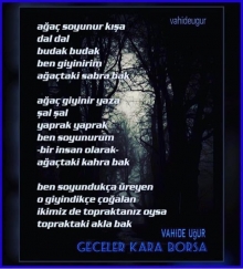 Vahide U�UR